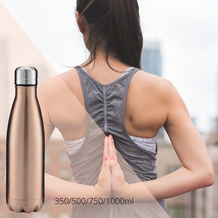 Bouteille isotherme 350/500/750/1000ml