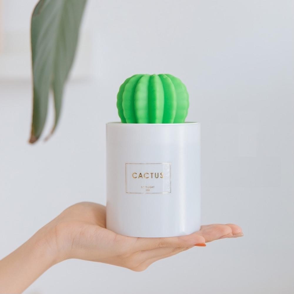 Purificateur d'air, humidificateur, diffuseur d'huile essentielle cactus